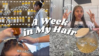 A WEEK IN MY HAIR ~Retain Every Inch of Growth! | Protective Style Myths, Amla Paste,  Length Check