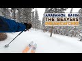 The beavers at abasin  dreamcatcher
