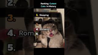 Purr Archives: Top 5 Cutest Cat Personalities #shorts
