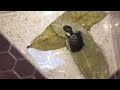 鬼门关前走一遭