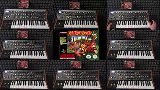 Donkey Kong Country - Dk Island Swing On Moog Sub 37