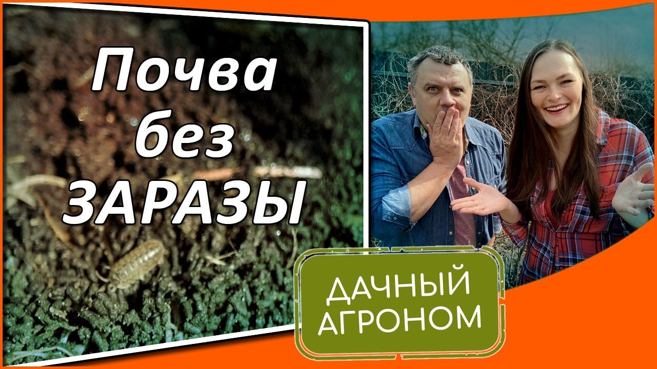 Осторожно! Обеззараживание почвы осенью! Как обеззаразить почву без ...