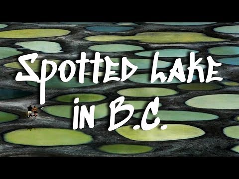 Video: Ecco Come Controllare Spotted Lake A BC, In Canada