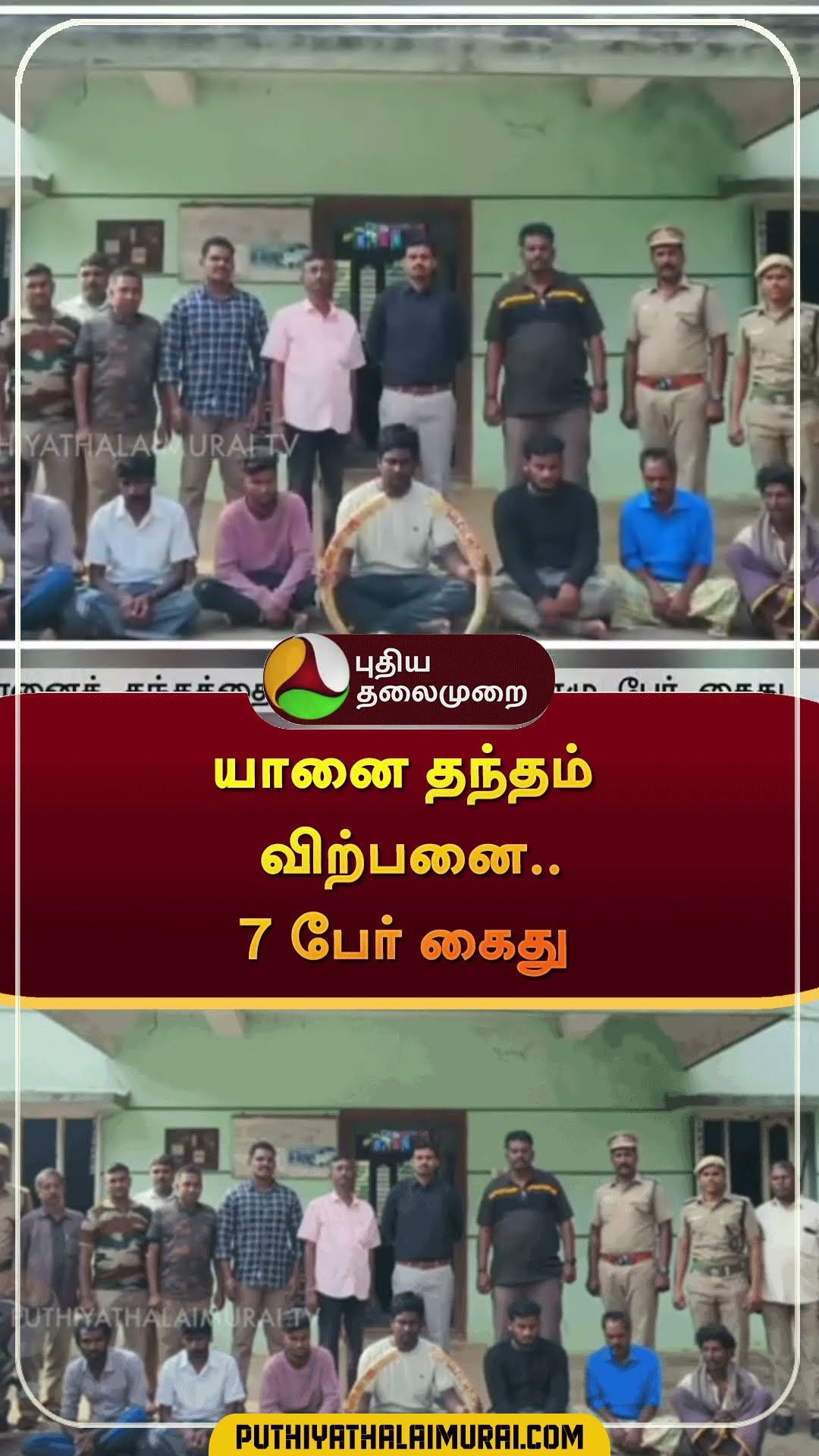 யானை தந்தம் விற்பனை.. 7 பேர் கைது | #shorts | #krishnagiri