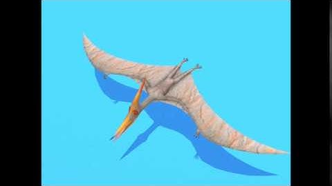 Pteranodon Dinosaur