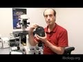 Microscopy: Microscope Imaging and Koehler Illumination (Ron Vale)