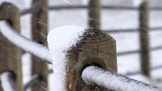 Ponderosa Fence Commercial (Extended Version) Ponderosa Fence Commercial (Extended Version)