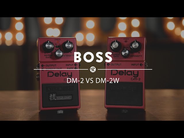 Boss DM-2 (Original) vs DM-2W Waza Craft Analog Delay - YouTube