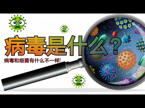 病毒 Virus | 病毒复制的6个步骤 | 肉眼看不到却影响着我们的生活！