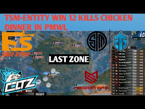 TSM-ENTITY WIN 12