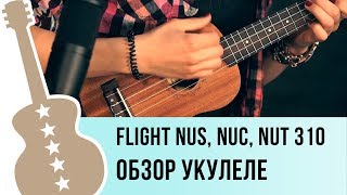 Виды укулеле и их отличия Flight nus 310, nuc 310, nut 310