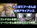 やっぱりプーさんは地球アライアンス　エレナさんを通じたソーハンさんからの情報
