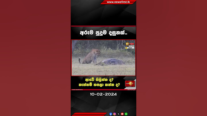ආවේ ගිලින්න ද?