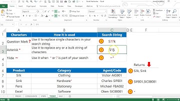 Search with Excel Wildcard Characters