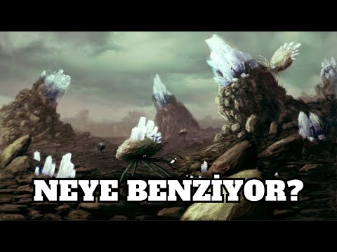 Video: Dünya'dan Bir Uydu Neye Benziyor