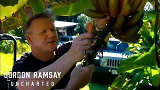 Red Bananas: Gordon Ramsay's 'Ono' Farm Adventure in Hawaii | Gordon Ramsay: Uncharted
