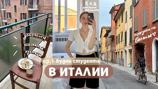 Итальянские будни | все о международной мобильности ВШЭ, подаю на ВНЖ, изучаю Болонью, карта Erasmus