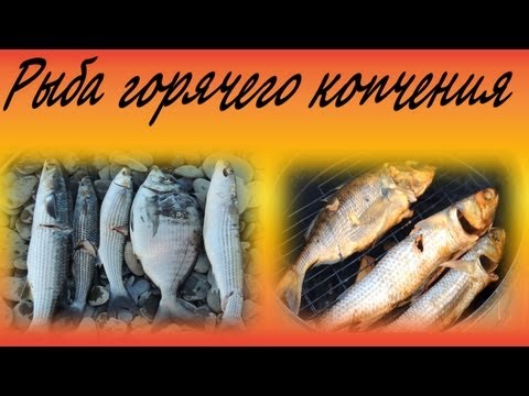 Video: How Hot Smoked Fish Is Prepared