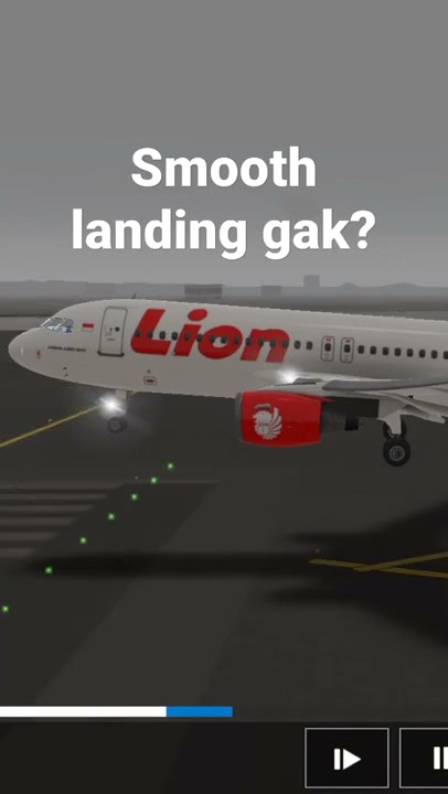 Lion air landing(RFS)