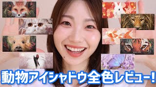 【全色レビュー】大人気の動物アイシャドウが可愛い【パーフェクトダイアリー】