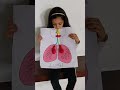 Prish shah grade 2 project lungs