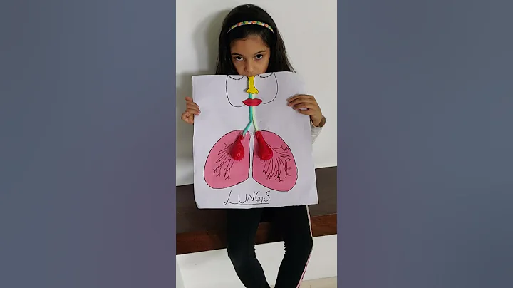 prish shah grade 2 project lungs,,, - DayDayNews