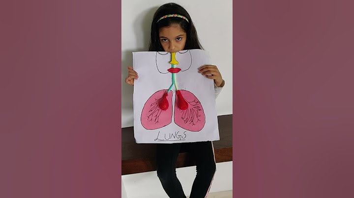 prish shah grade 2 project lungs,,,