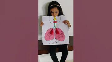 Prish Shah Grade 2 Project Lungs 