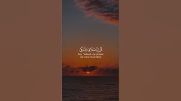 #ايات_قرانيه_قصيره #تلاوات #آيات #القرآن_الكريم #قرآن #تلاوة #قران_كريم #قران #ترند #القرآن  #quran