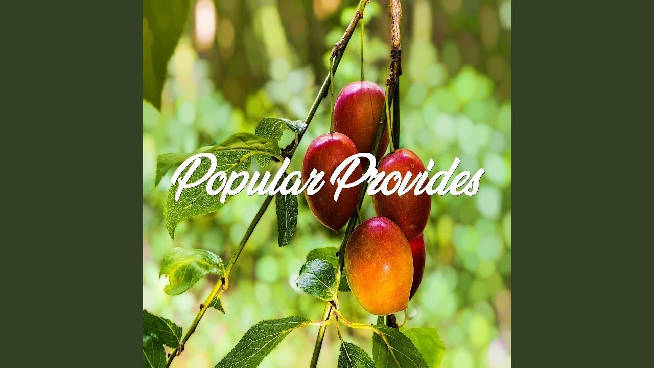 Outcast Haven T Vinevivid