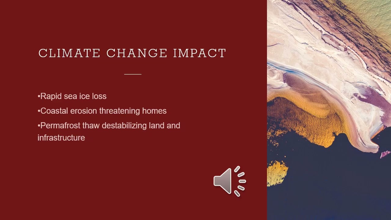 Art and activism final assignment