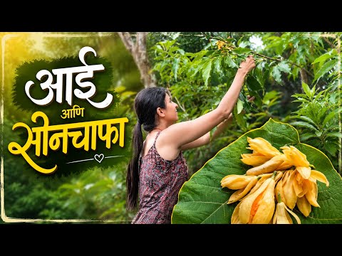 गाठी भेटी आणि भेटवस्तू || आईला दिलं सोनचाफ्याचं रोप ❤️