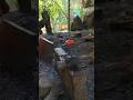 Blacksmith hard working video & history #blacksmith #technology #welding #shorts #short