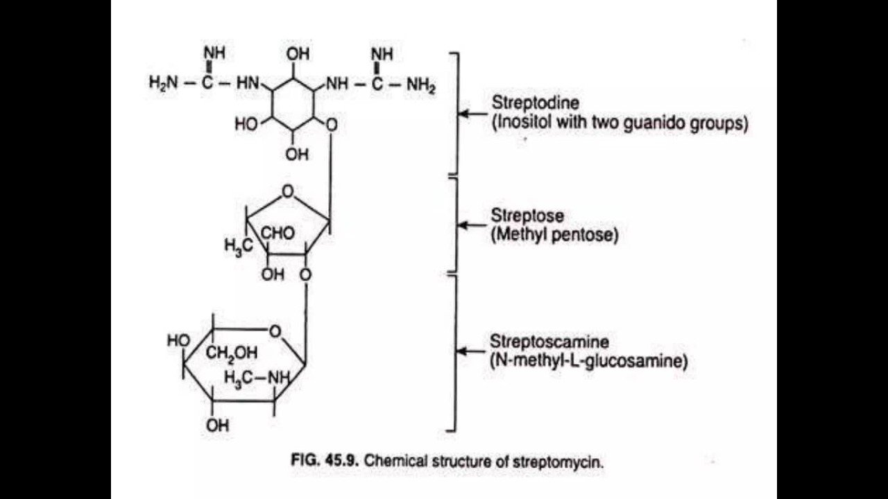 Streptomycin; Chemical name, Molecular Formula, Molar mass, Chemical Structure