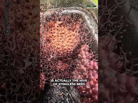 This Is Insane Cute Animals