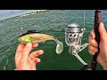 Wish I Tried This Lure Sooner Best Fishing Trip Of The Season 
