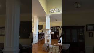 Crossover Crackverse Mr.krabs Catches Squidward Dating On Daughter Pearl - Talon-Tal