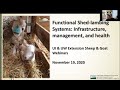 Functional shed lambing systems: Infrastructure, management, and health