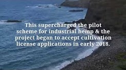 Is CBD Oil Legal In Hawaii?