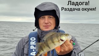 Ладога🎣Осенняя рыбалка🍁