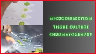 Advanced Biological tecniques Simplified : Microdissection, Chromatography and Tissue Culture