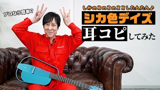 【耳コピ】プロなら余裕?「シカ色デイズ」でしかのこのこのここしたんたん♪