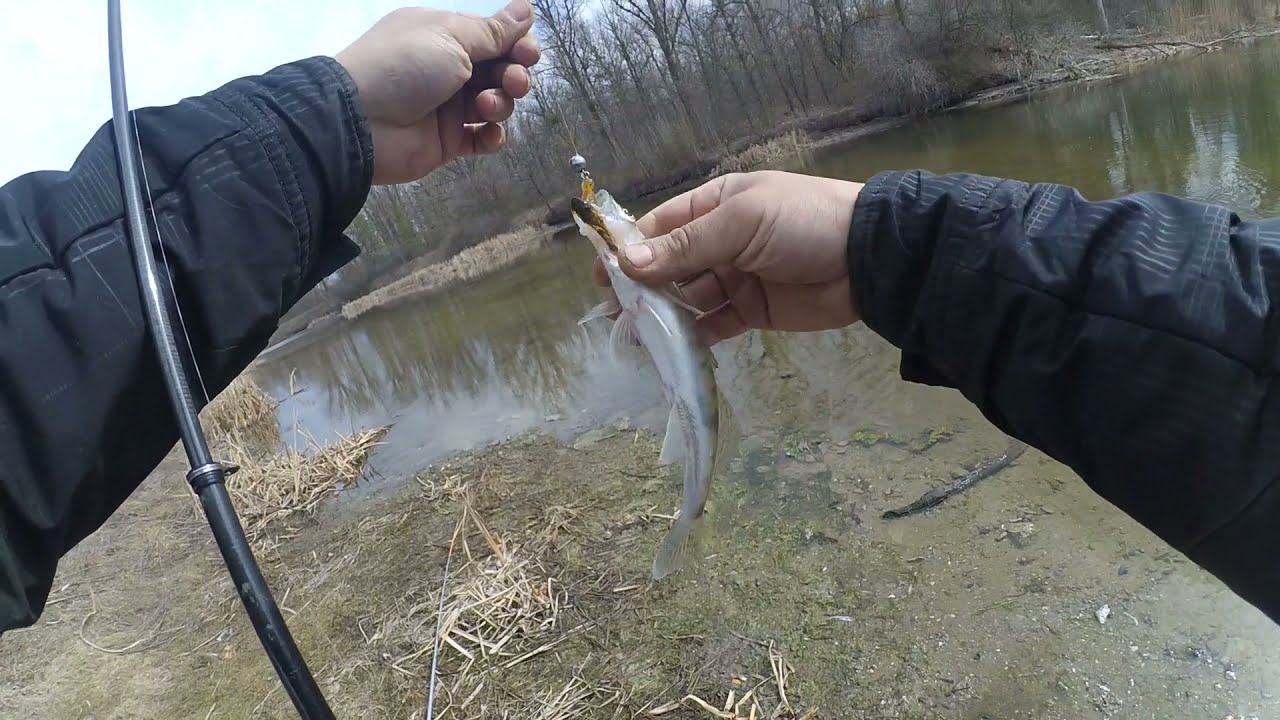 Рыбалка на реке Оскол 20 03 2021, Спиннинг из Авроры тащит\ Готовлю шаурму на костре)))