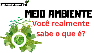 O que é ambiente Brainly?