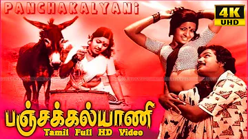 Pancha Kalyani Movie Songs | Sivachandran, Vasanti | Shankar Ganesh Songs | Full HD Video