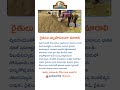 రైతులు వ్యాపారులుగా మారాలి #telugunews #telugu #agriculture