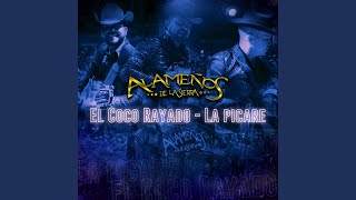 Video thumbnail of "Alameños de la Sierra - El Coco Rayado: La Picare"