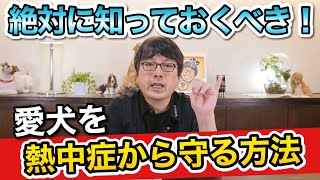 ２０２２年夏は猛暑！？注意したい【愛犬の熱中症対策】をペットショップ店長が解説します！