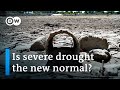 Drought disrupts cargo traffic on Germany's Rhine River | DW News