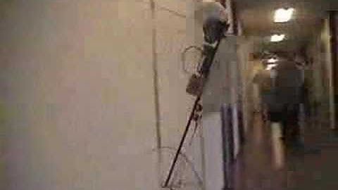 DelFly II on the wall